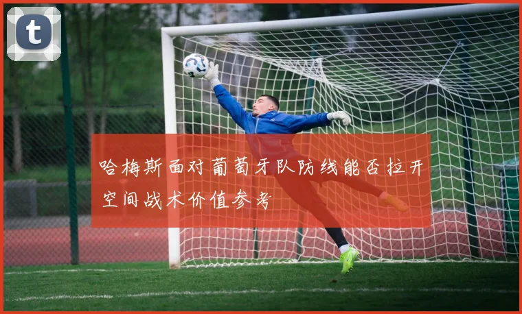 哈梅斯面对葡萄牙队防线能否拉开空间战术价值参考