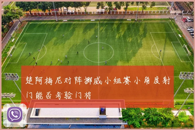 楚阿梅尼对阵挪威小组赛小角度射门能否考验门将
